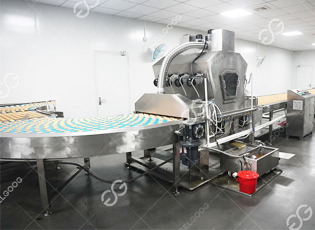 Making Biscuits in A Factory
