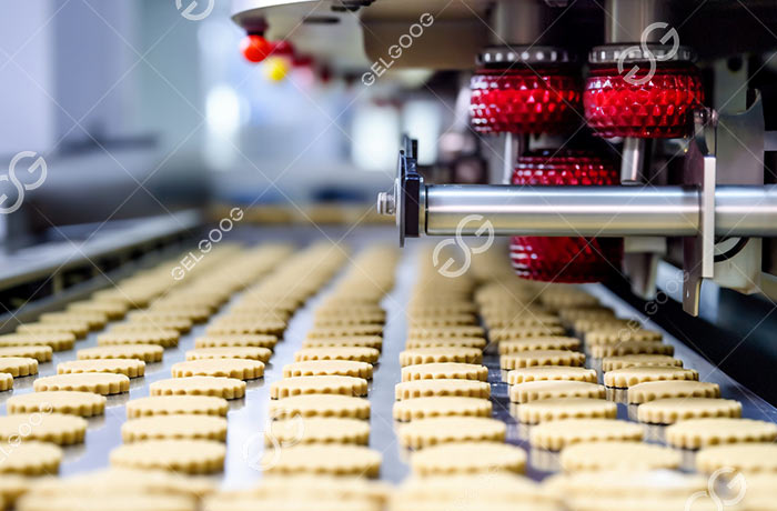 Hard Biscuit Production Line Cost