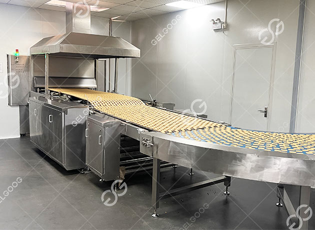 Profit of Biscuit Business