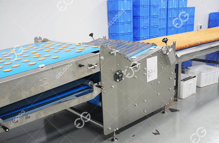 Industrial Biscuit Sorting Machine