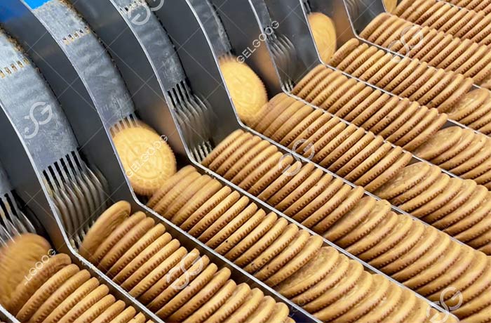 Biscuits Processing Plant