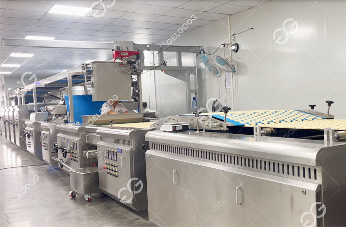 Plant Used to Make Biscuit