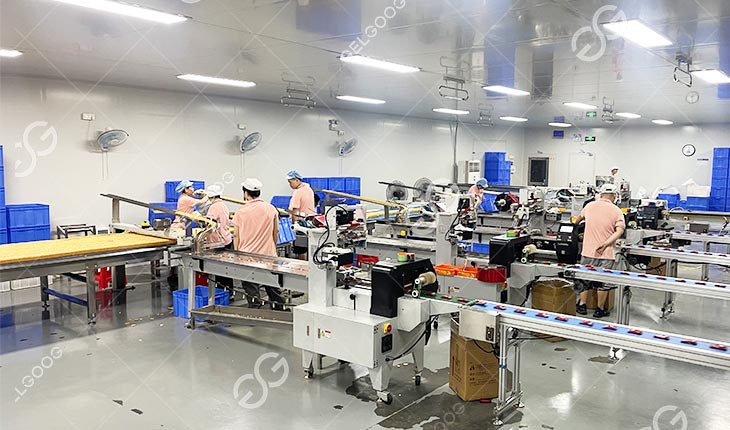 Biscuit Processing Line