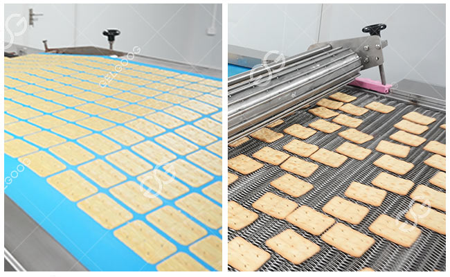 Machine for Biscuit Production