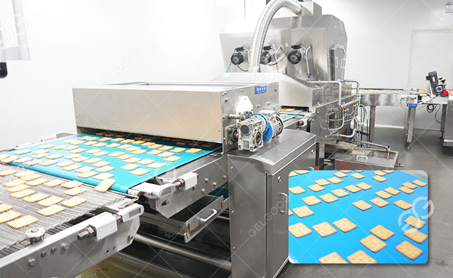 Biscuit Processing Line
