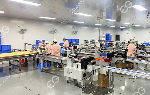 Biscuit Production Plant For Sale