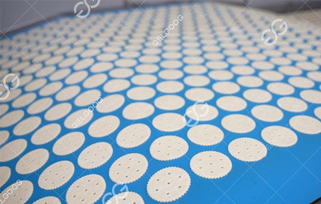 Machine for Biscuit Forming